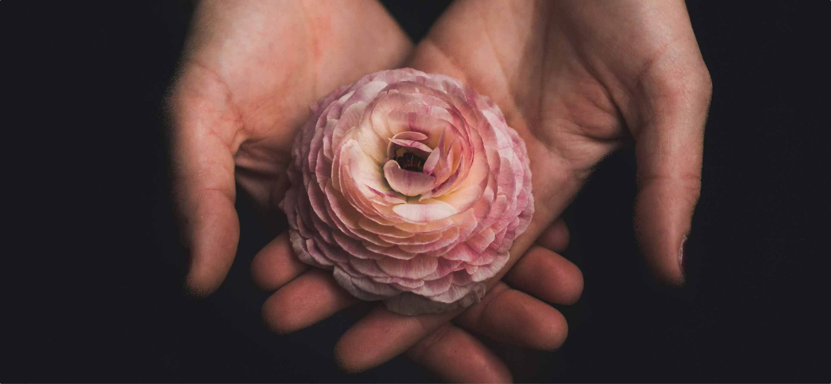 Image of woman holding a pink flower 